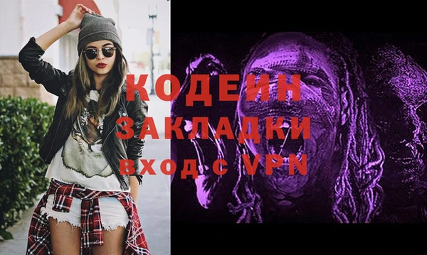 ГАЛЛЮЦИНОГЕННЫЕ ГРИБЫ Богданович