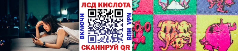 Наркотические марки 1,8мг  продажа наркотиков  Кудрово 